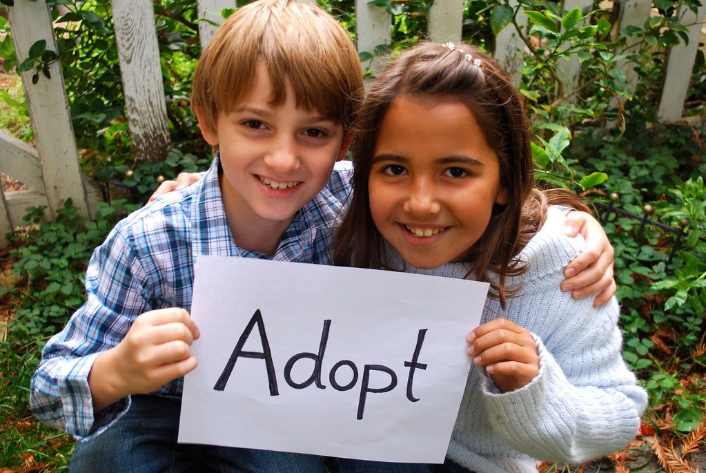 Navigating Challenges and Preparing for​ the​ Adoption Journey