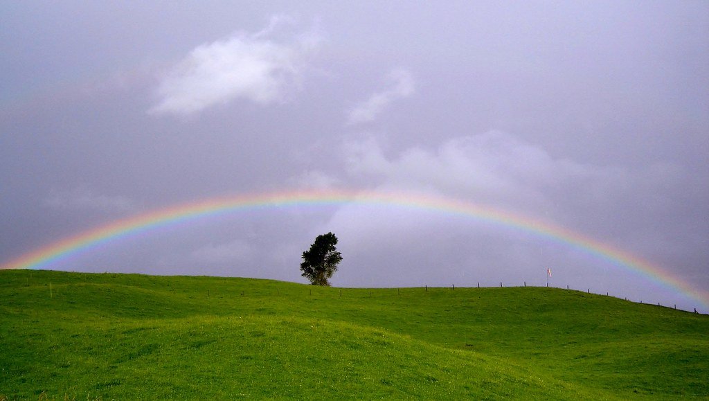 Rainbow Land: A Vibrant⁢ Wonderland for LGBTQ+ Families