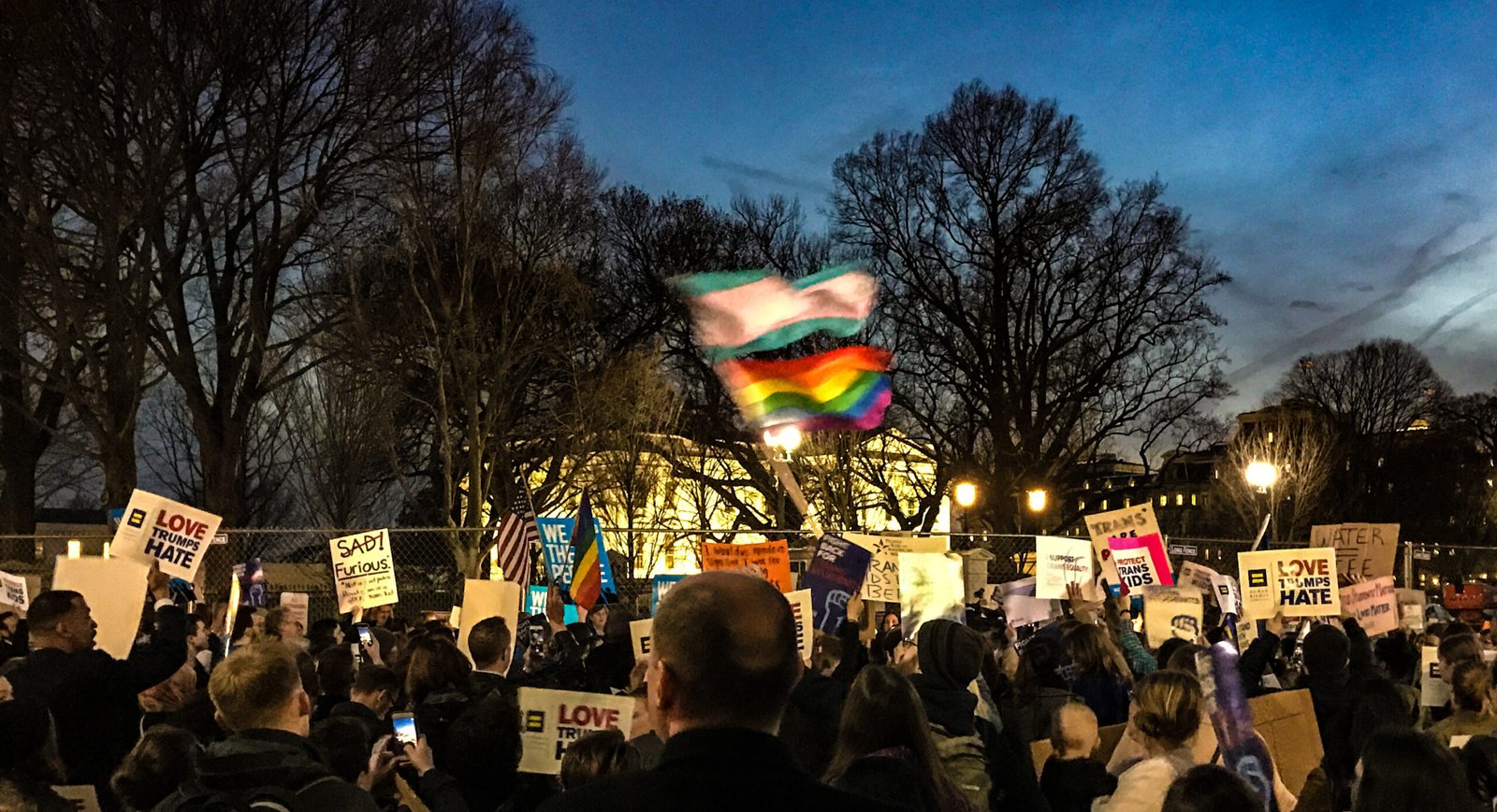 Virtual LGBTQ+ Events: Celebrating Pride Online