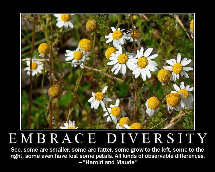 Embracing Diversity: ‍Cultivating ⁢an Inclusive Mindset ⁢when Meeting New People